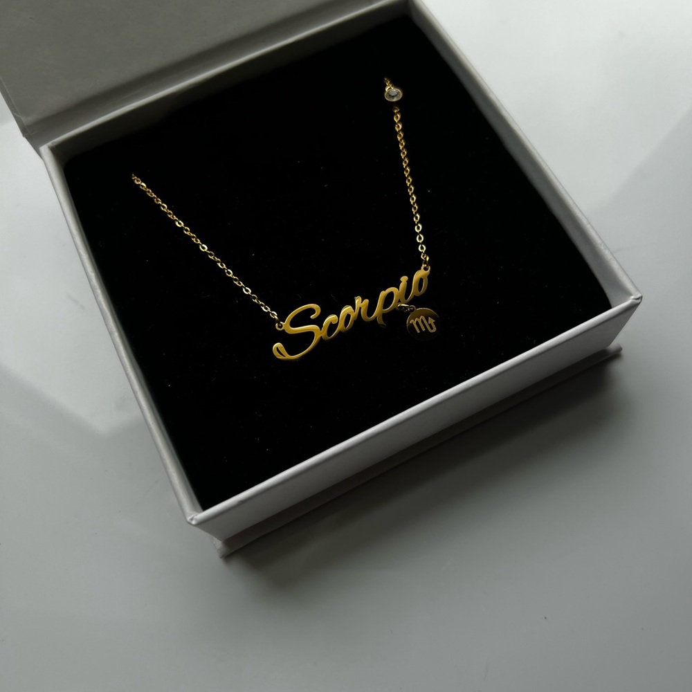 Scorpio Zodiac Sign Necklace Stainless Steel Horoscope Astrology Birthday